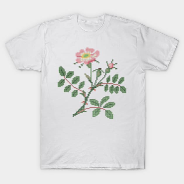 Iowa North Dakota State Flower Wild Prairie Rose T-Shirt by inotyler